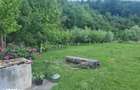 Vand casa cu gradina - 7
