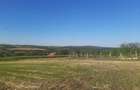 Teren 894 mp cu front stradal 18 m aproape de Oradea | Elado beltelek - 1