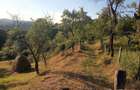 Teren de 600 mp, în Cicănești - 3