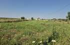 Teren intravilan in Izvorani Delta Snagov