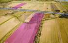 Terenuri industriale cu deschidere la A1, km 64 Jugureni, Dambovit - 13