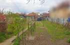 Casa de vanzare in Craiova pe Raului, teren mare - 4