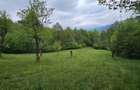 Domeniu Premium 1.7 Ha Intravilan Zarne?ti | Liziera Padure - 12