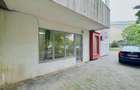 Vânzare Spațiu Comercial, 80 mp, planul 1- Nicolina- Belvedere - 3