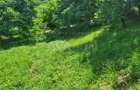 Teren intravilan 960 mp, zona Hemeius - 4