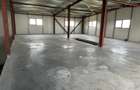 Zona Drumul Intre Tarlale - hala 450mp si birouri 200mp - 5