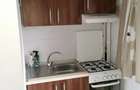 Apartament cu o camera de inchiriat in zona Iosefin - 2