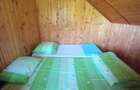 Cabana Spa?ioasa Sta?iunea Trei Ape , jud. CARA?-SEVERIN - 8