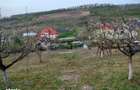 Teren intravilan 3000mp Corunca - 8