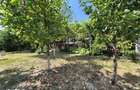 CASA PARTER BUCIUM, 3 camere, 130mp, TEREN 640mp, - 3