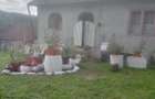 De vânzare căsuță la munte în jud Hunedoara  - 1