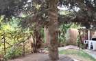 Vanzare casa individuala A. Muresanu, 3 niveluri, gradina, 2 parcari