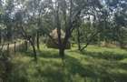 Vanzare terenuri construc?ii (agricol)