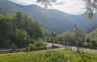 Casa de caramida la rosu, 3765mp teren intravilan, Valea Ariesului, AB - 4