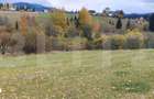 Teren intravilan, 4000 mp, zona Panaci - Vatra Dornei