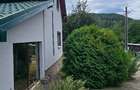 Proprietate deosebita in Almas- Casa P+M,echipata complet, teren 951 m - 15