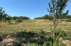 Vanzare teren extravilan Zalau zona Elmezo - 4