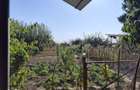 Casa la tara in Sacadat, Bihor, teren 2826 mp, acces auto - Vanzare - 18