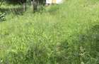 Teren Judetul Arges, comuna Babana - 6