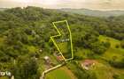 Teren de 11700 mp in mijlocul naturii la 2 ore de Bucure?ti - 5