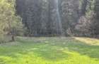 Teren Tarcau intravilan - 3