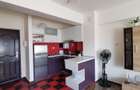 Apartament 1 camera Tabacarilor, finisat, mobilat, utilat, inchiriat - 4