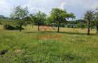 Teren intravilan in Campina, 1490mp--26.820e