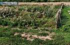 Teren 500mp vand urgent - 7
