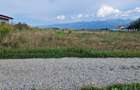 Teren intravilan Avrig, judet Sibiu 63 000 EUR negociabil - 3