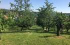 Teren intravilan Oradea - 3