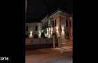 PARTER IN VILA PRETABIL RESTAURANT - 2