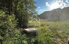 Teren de vanzare | 12 259mp | - 5