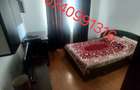 Apartament 3 camere de vanzare Pacurari - 16