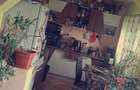 Casa noua cu mansarda si 1.24 hectare teren intravilan - 9