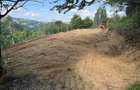 Teren cu panoramic Poiana Marului - 4