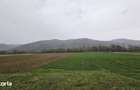 Vand Teren Agricol Galgau Jud Salaj