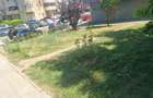 Teren ultracentral Bd. Mamaia - 6