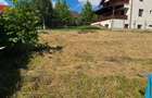 Teren intravilan, 700mp, Valea Lupului - 4