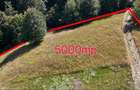Teren 5000 mp extravilan, pretabil cabana weekend
