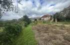 6.605 mp de natura pura refugiu, afacere sau investitie in Candest - 8