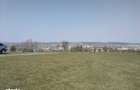 Teren intravilan in Targu Mures - 5