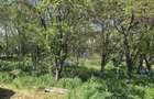 Teren agricol intravilan de 2050 mp, în Valea Măcrișului - 12