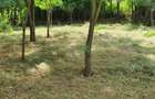 vind teren intravilan ,,URGENT'' - 4
