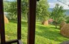 Vand teren in Valea Doftanei - 6