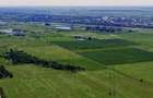 Teren 30 Ha la A1 BucurestiPitesti, Km 34 | 550 m Deschidere | - 9