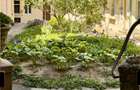 Proprietar, inchiriez apartament ultracentral renovat complet 3 camere - 10