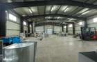 Spa?iu industrial de vanzare COMISION 0% - 17