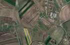Vand 39.600mp in Arad zona Gai - 3