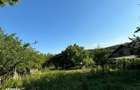 Teren intravilan Valea Adanca , 2540 metri Cod:155291 - 6