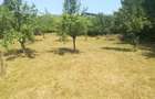 TEREN in Cornu de jos. - 6